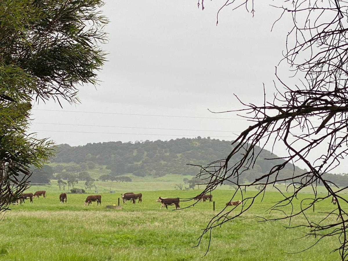 Bellum Hotel Mount Gambier Exteriör bild